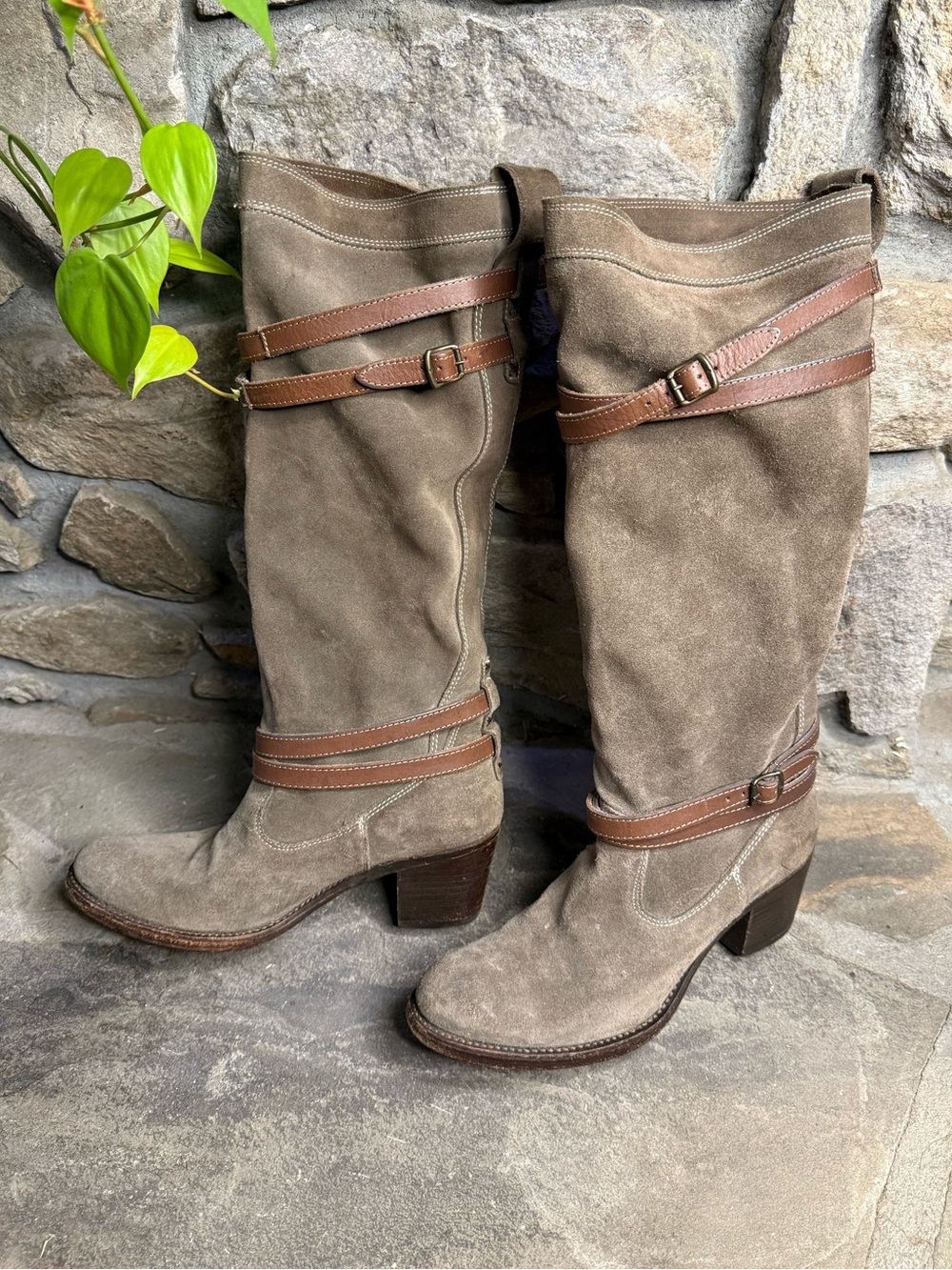 Frye Riding Boots - Picture 2 of 10